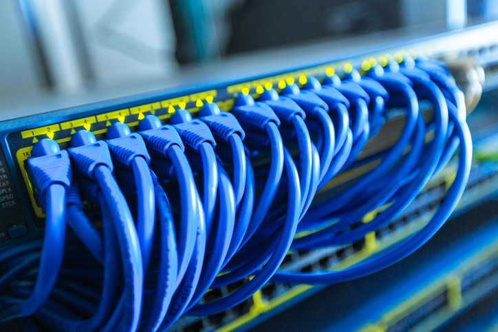 Network cables connected to switch