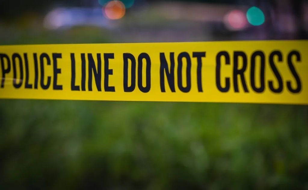 charlotte skyline during the fall leaves are changing in the image